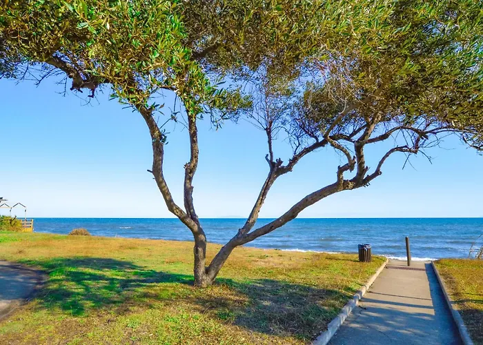 شقة 1 Bedroom Amazing In